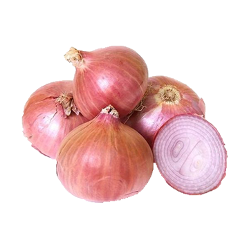 Onion | পিয়াজ