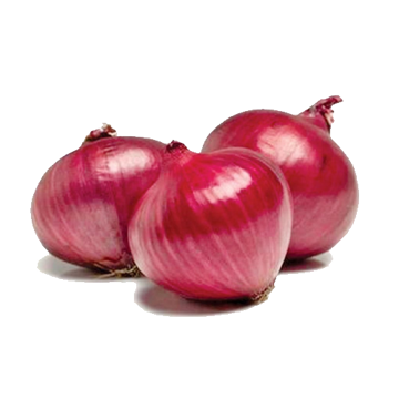 Onion Red -Imported  | পিয়াজ (আমদানীকৃত বড় সাইজ  1 KG